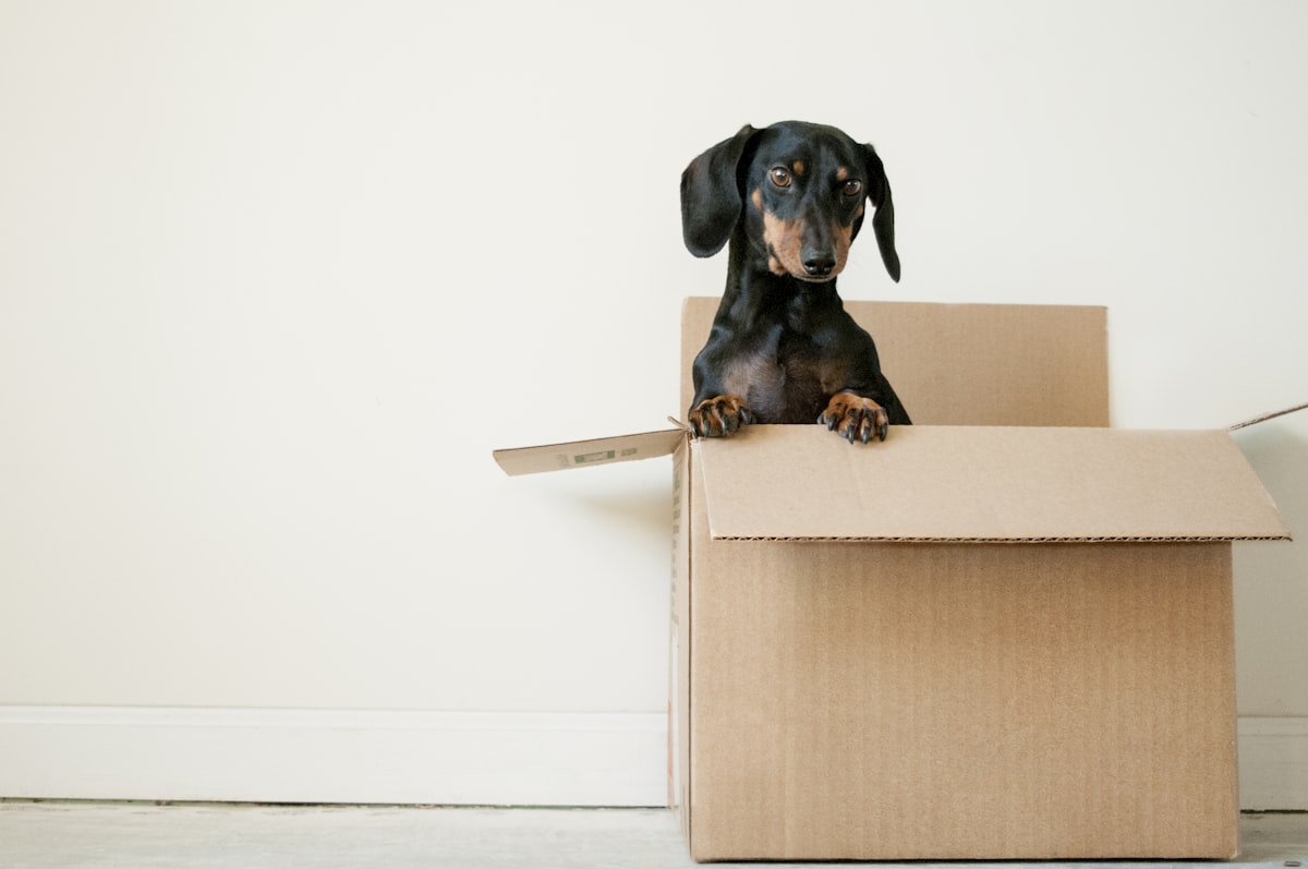 Storage Guide: How Do Your Goods Stay Safe in a Warehouse?